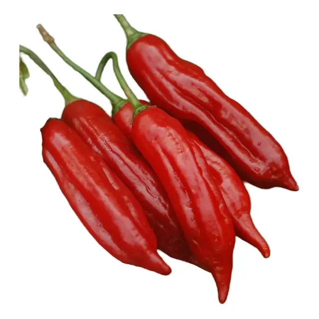 Ají